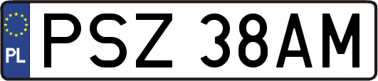 PSZ38AM