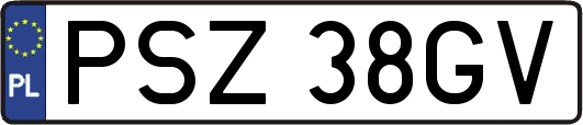 PSZ38GV