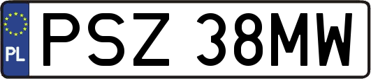PSZ38MW