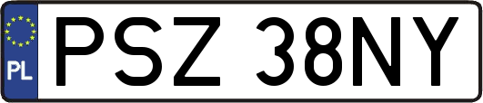 PSZ38NY