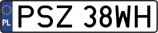 PSZ38WH