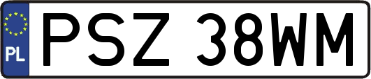 PSZ38WM