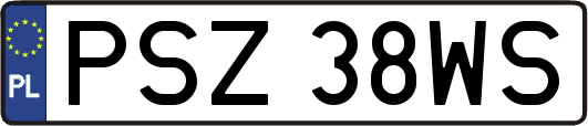 PSZ38WS