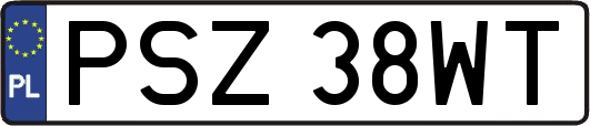PSZ38WT