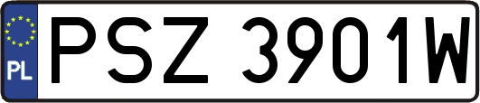 PSZ3901W