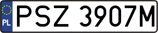 PSZ3907M
