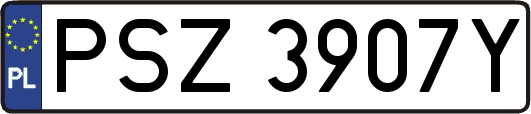 PSZ3907Y