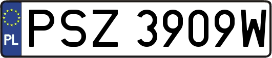 PSZ3909W