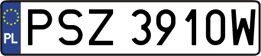 PSZ3910W