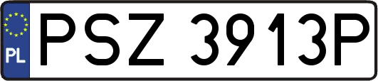 PSZ3913P