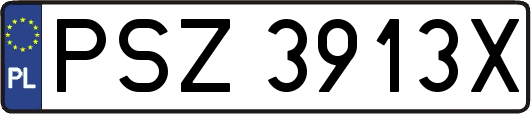 PSZ3913X