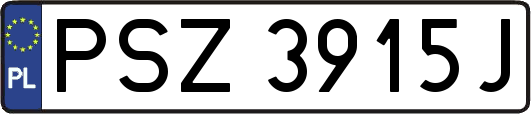 PSZ3915J