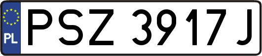 PSZ3917J