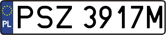 PSZ3917M