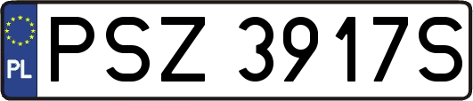 PSZ3917S