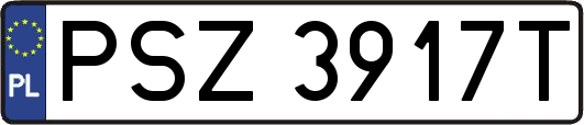 PSZ3917T