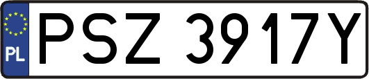 PSZ3917Y