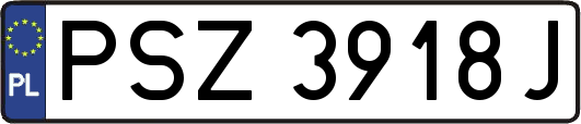 PSZ3918J