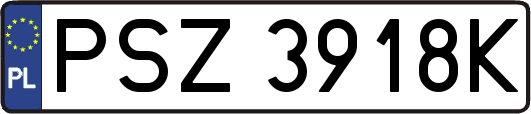 PSZ3918K