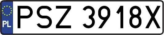 PSZ3918X