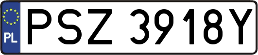 PSZ3918Y