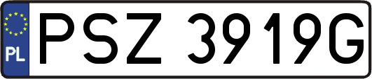 PSZ3919G