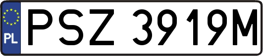 PSZ3919M