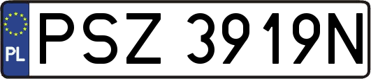 PSZ3919N