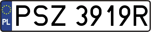 PSZ3919R