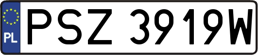 PSZ3919W