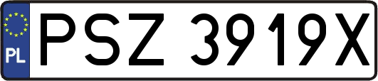 PSZ3919X