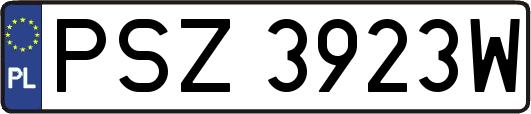 PSZ3923W