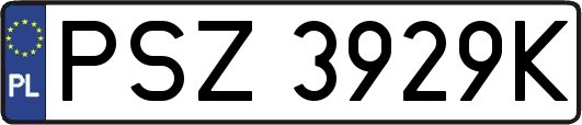 PSZ3929K