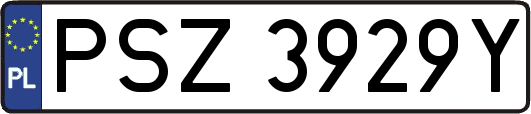 PSZ3929Y