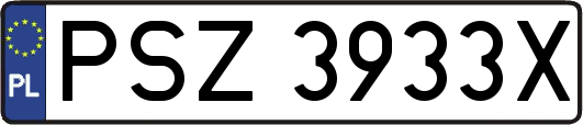PSZ3933X