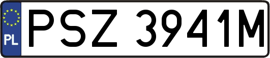 PSZ3941M