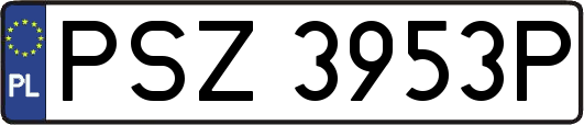 PSZ3953P