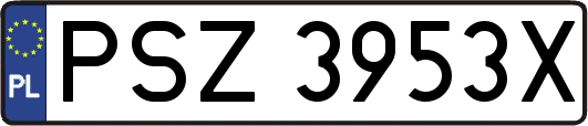 PSZ3953X
