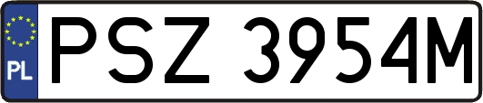 PSZ3954M