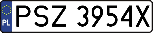 PSZ3954X