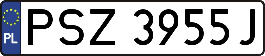 PSZ3955J
