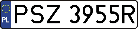 PSZ3955R