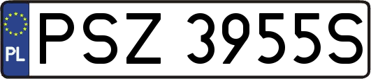 PSZ3955S