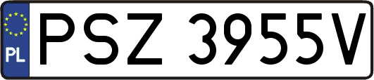 PSZ3955V