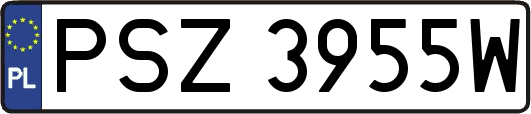 PSZ3955W