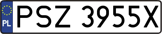 PSZ3955X