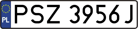 PSZ3956J