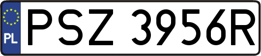 PSZ3956R