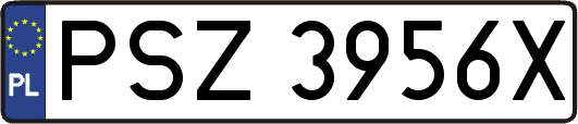 PSZ3956X