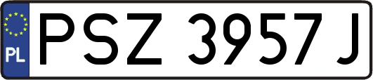 PSZ3957J